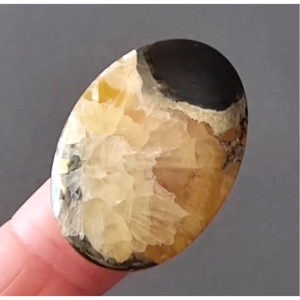 Rare High Quality Simbirciteammonite With Silver Pyrite Natural Stone Cabochon 35 X 24 X 5 Mm  Cabo 0