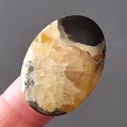 rare high quality simbircite-ammonite with silver pyrite natural stone cabochon 35 x 24 x 5 mm , cabochon for jewelry,