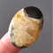 Rare High Quality Simbirciteammonite With Silver Pyrite Natural Stone Cabochon 35 X 24 X 5 Mm  Cabo 0