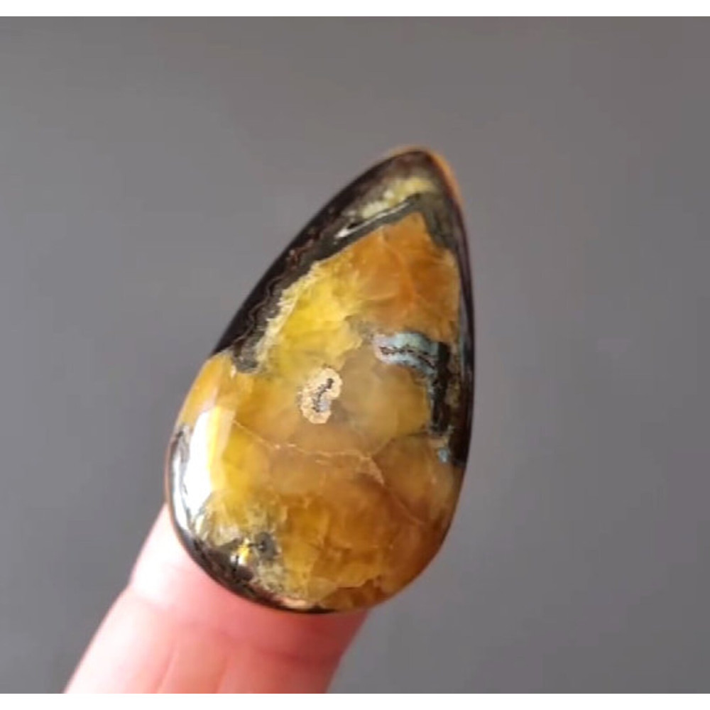 Rare High Quality Simbirciteammonite With Silver Pyrite Natural Stone Cabochon 38 X 20 X 7 Mm  Cabo 0