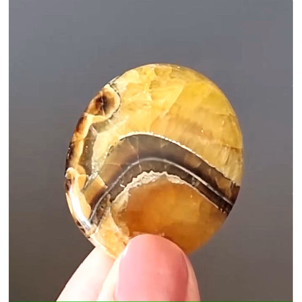 Rare High Quality Simbirciteammonite With Silver Pyrite Natural Stone Cabochon 40 X 33 X 7 Mm  Cabo 0