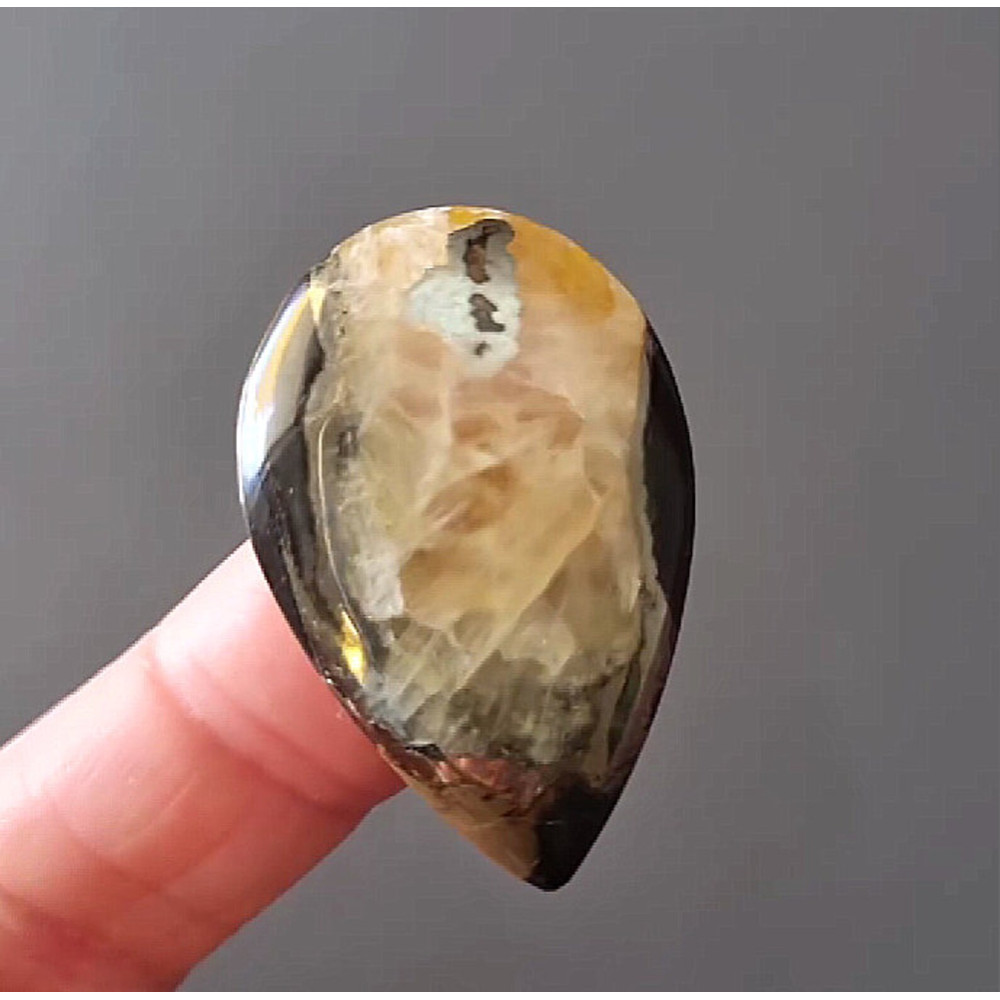 Rare High Quality Simbirciteammonite With Silver Pyrite Natural Stone Cabochon 36 X 23 X 5 Mm  Cabo 0