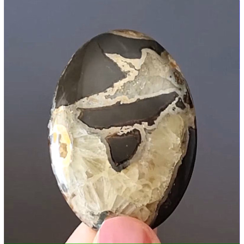 Rare High Quality Simbirciteammonite With Silver Pyrite Natural Stone Cabochon 47 X 33 X 7 Mm  Cabo 0