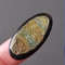 Rare High Quality Ammonite Fragment With Pyrite Designer Cabochon 35 X 18 X 6 Mm Geode Simbircite 0
