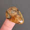 Rare High Quality Simbirciteammonite With Silver Pyrite Natural Stone Cabochon 33 X 23 X 6 Mm  Cabo 0