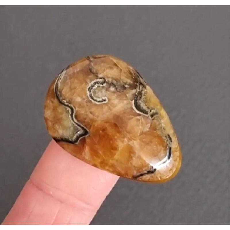 Rare High Quality Simbirciteammonite With Silver Pyrite Natural Stone Cabochon 33 X 23 X 6 Mm  Cabo 0