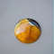Rare High Quality Simbirciteammonite With Silver Pyrite Natural Stone Cabochon 31 X 55 Mm  Cabochon 0