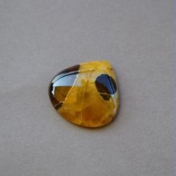 rare high quality simbircite-ammonite with silver pyrite natural stone cabochon 28 x 28 x 6 mm , cabochon for jewelry