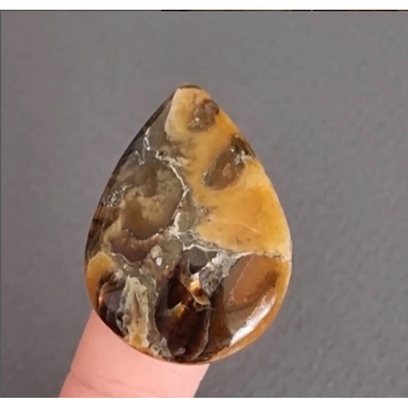 Rare High Quality Simbirciteammonite With Silver Pyrite Natural Stone Cabochon 37 X 27 X 6 Mm  Cabo 0