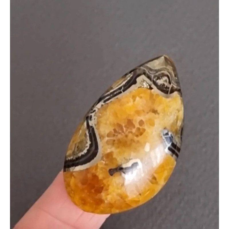 Rare High Quality Simbirciteammonite With Silver Pyrite Natural Stone Cabochon 45 X 27 X 6 Mm  Cabo 0