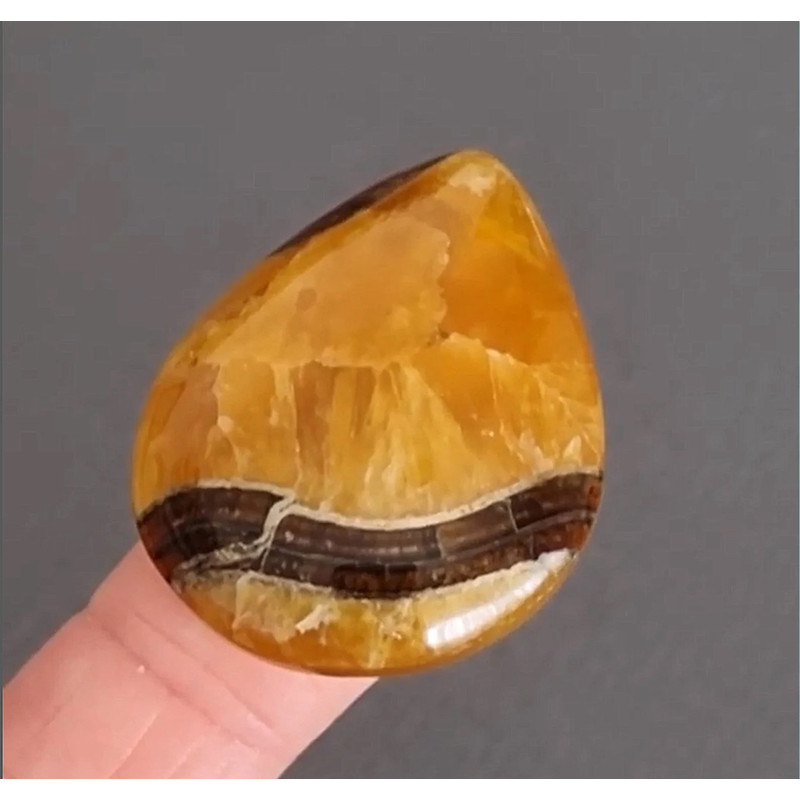 Rare High Quality Simbirciteammonite With Silver Pyrite Natural Stone Cabochon 36 X 29 X 7 Mm  Cabo 0
