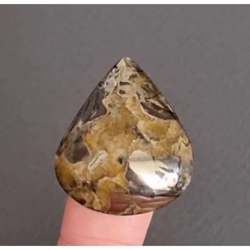 Rare High Quality Simbirciteammonite With Silver Pyrite Natural Stone Cabochon 31 X 27 X 7 Mm  Cabo 0