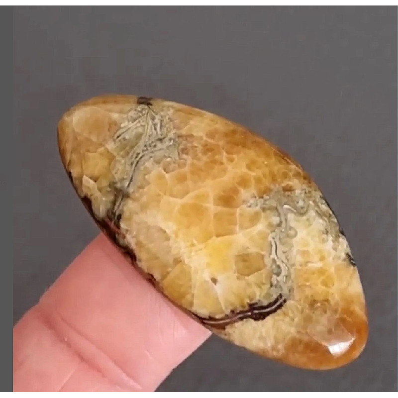 Rare High Quality Simbirciteammonite With Silver Pyrite Natural Stone Cabochon 42 X 21 X 8 Mm  Cabo 0