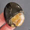 Rare High Quality Simbirciteammonite With Silver Pyrite Natural Stone Cabochon 44 X 33 X 8 Mm  Cabo 0