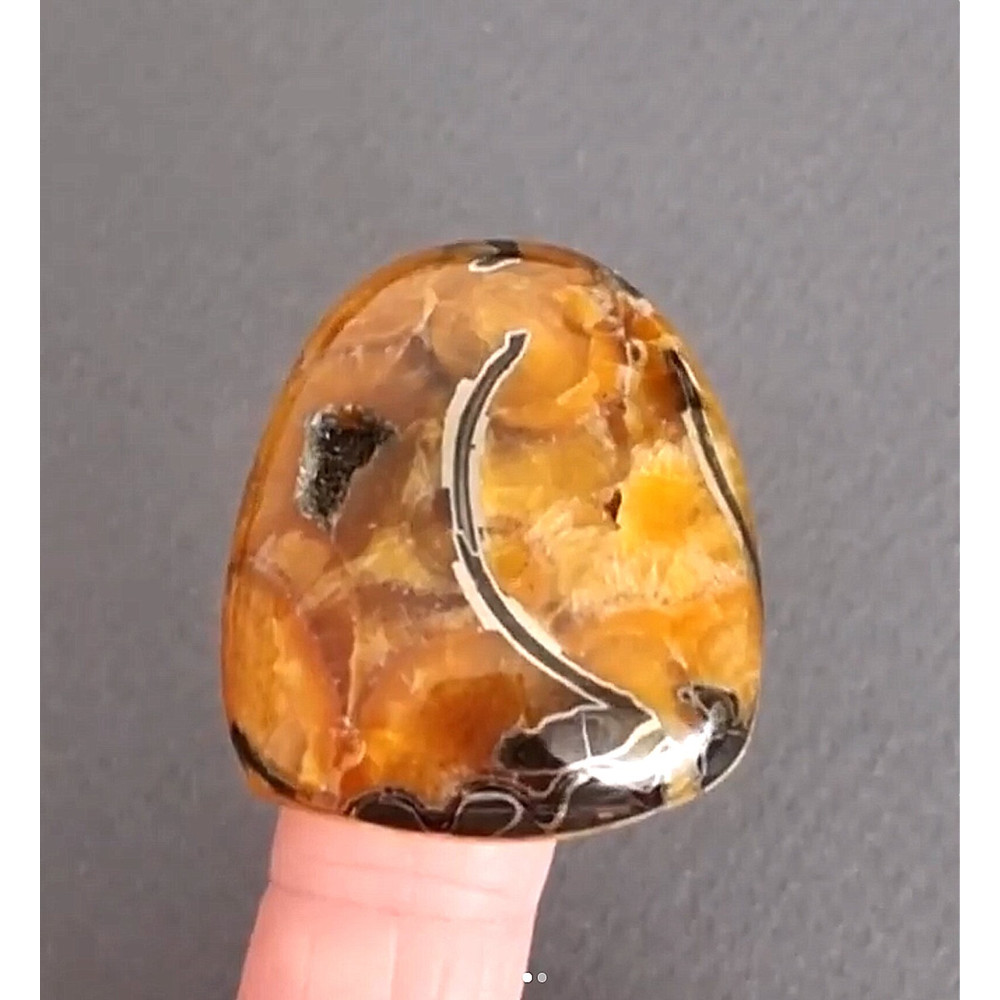 Rare High Quality Simbirciteammonite With Silver Pyrite Natural Stone Cabochon 40 X 33 X 9 Mm  Cabo 0
