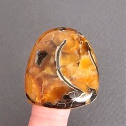 rare high quality simbircite-ammonite with silver pyrite natural stone cabochon 40 x 33 x 9 mm , cabochon for jewelry