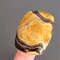 Rare High Quality Simbirciteammonite With Silver Pyrite Natural Stone Cabochon 42 X 32 X 10 Mm  Cab 0