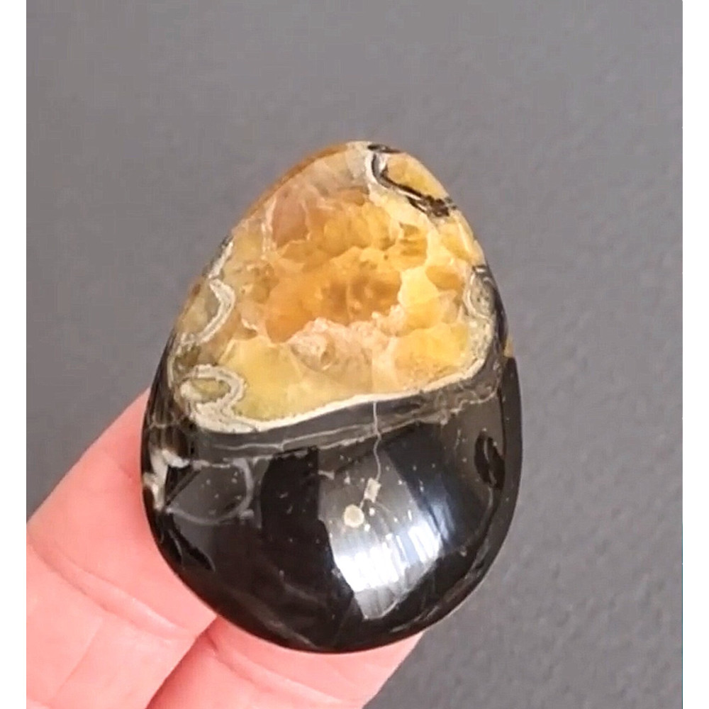 Rare High Quality Simbirciteammonite With Silver Pyrite Natural Stone Cabochon 42 X 30 X 8 Mm  Cabo 0
