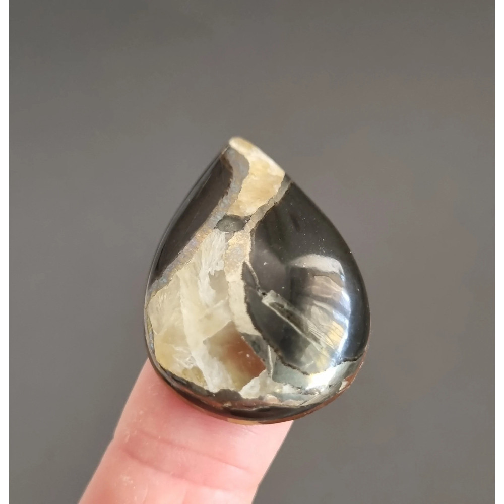 Rare High Quality Simbirciteammonite With Silver Pyrite Natural Stone Cabochon 33 X 23 X 7 Mm  Cabo 0