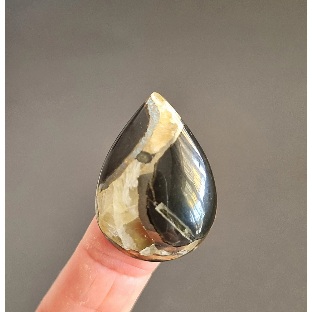 Rare High Quality Simbirciteammonite With Silver Pyrite Natural Stone Cabochon 33 X 23 X 7 Mm  Cabo 1
