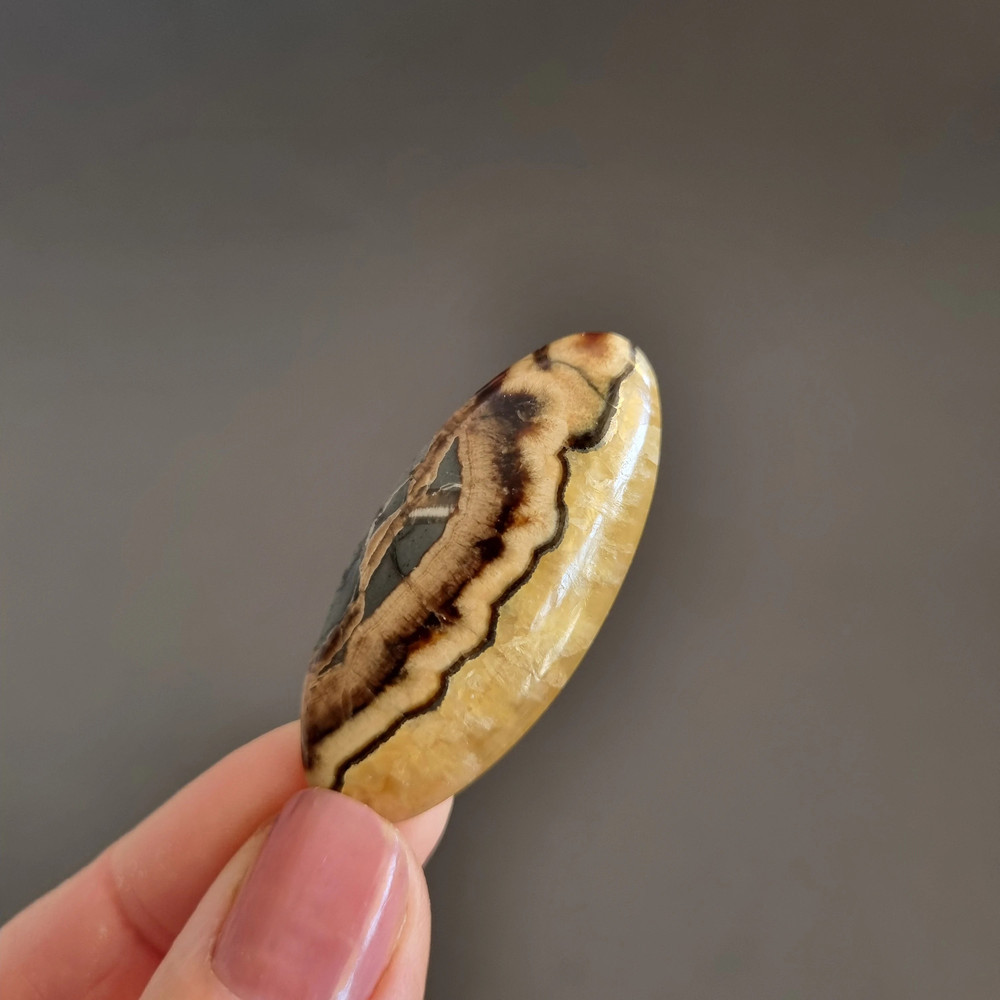 Rare High Quality Simbirciteammonite With Silver Pyrite Natural Stone Cabochon 42 X 19 X 6 Mm  Cabo 1