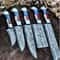 Handmade Damascus Chef Knife Set With American Flag Handles Premium Kitchen Cutlery 1