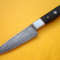 Handmade Damascus Steel Chef Knife Set With Buffalo Horn Handles  Premium Kitchen Cutlery 6