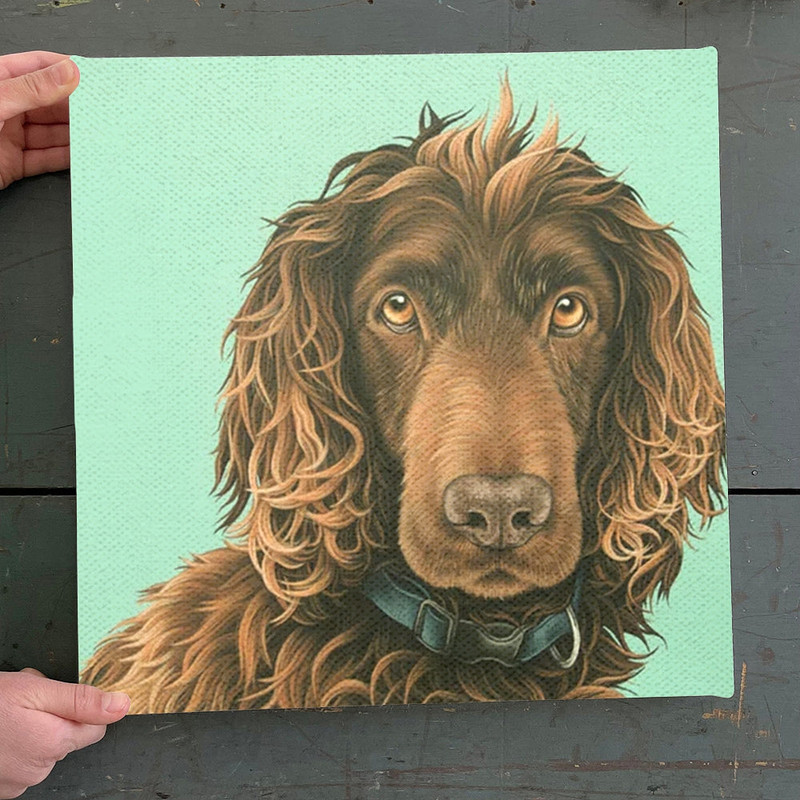 Dog Square Canvas - Boykin Spaniel - Dog Art Canvas Print - Canvas With Dogs On It - Dog Wall Art Canvas - Furlidays.jpg