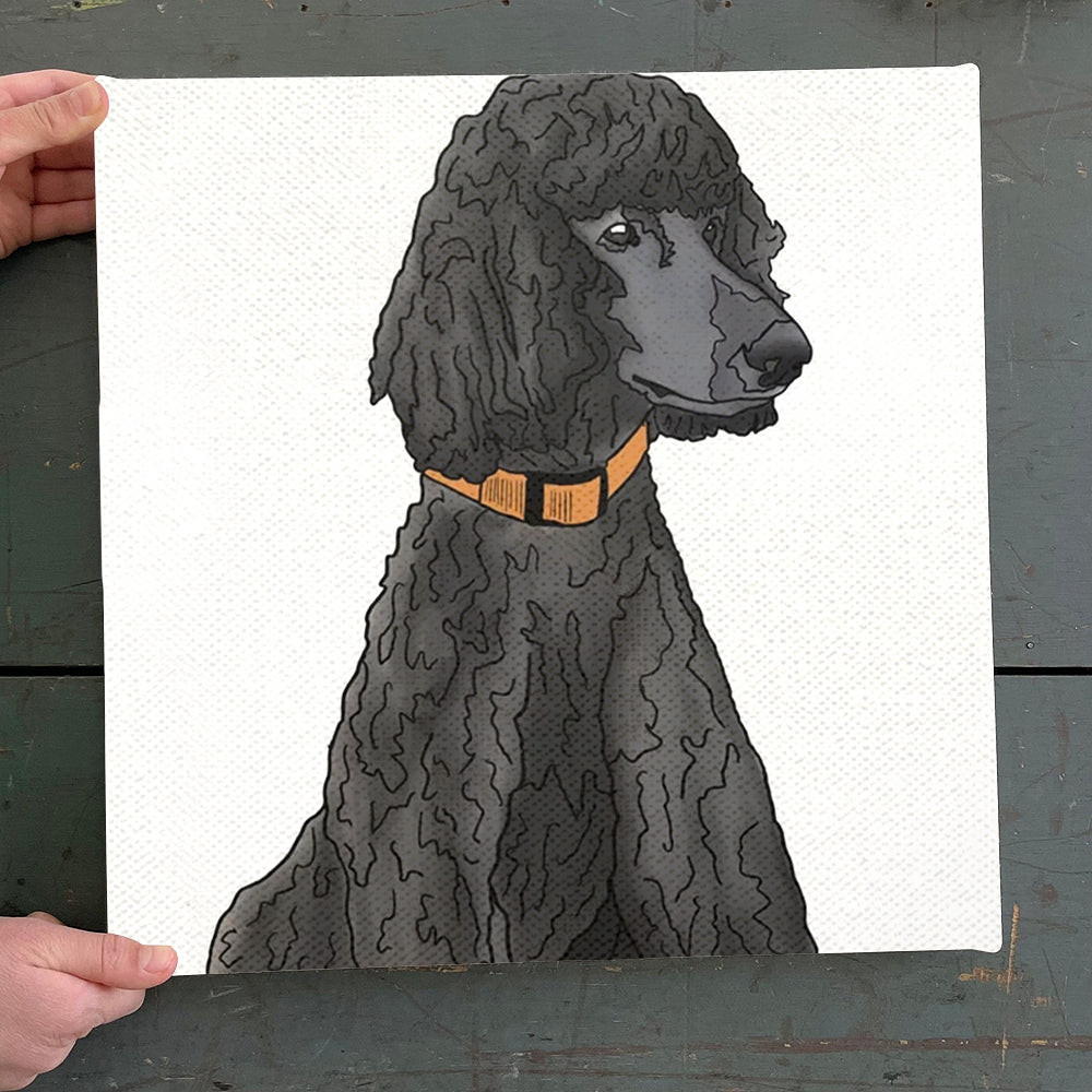 Dog Square Canvas - Misza The Black Standard Poodle - Canvas Print - Dog Canvas Art - Canvas With Dogs On It - Dog Canvas Print - Furlidays.jpg