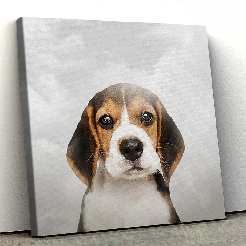 Dog Square Canvas - Sad Dog Canvas Pictures - Dog Wall Art Canvas - Canvas Prints - Dog Poster Printing - Furlidays.jpg