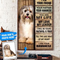 havanese personalized poster & canvas, dog canvas wall art, dog lovers gifts