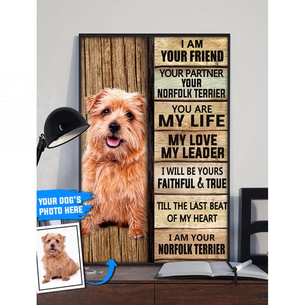 Norfolk Terrier Personalized Poster & Canvas - Dog Canvas Wall Art - Dog Lovers Gifts For Him Or Her.jpg