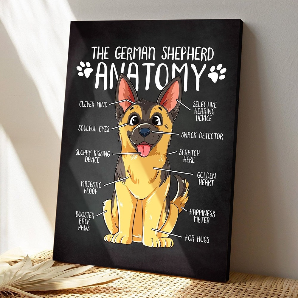 The German Shepherd Anatomy - Dog Pictures - Dog Canvas Poster - Dog Wall Art - Gifts For Dog Lovers - Furlidays.jpg