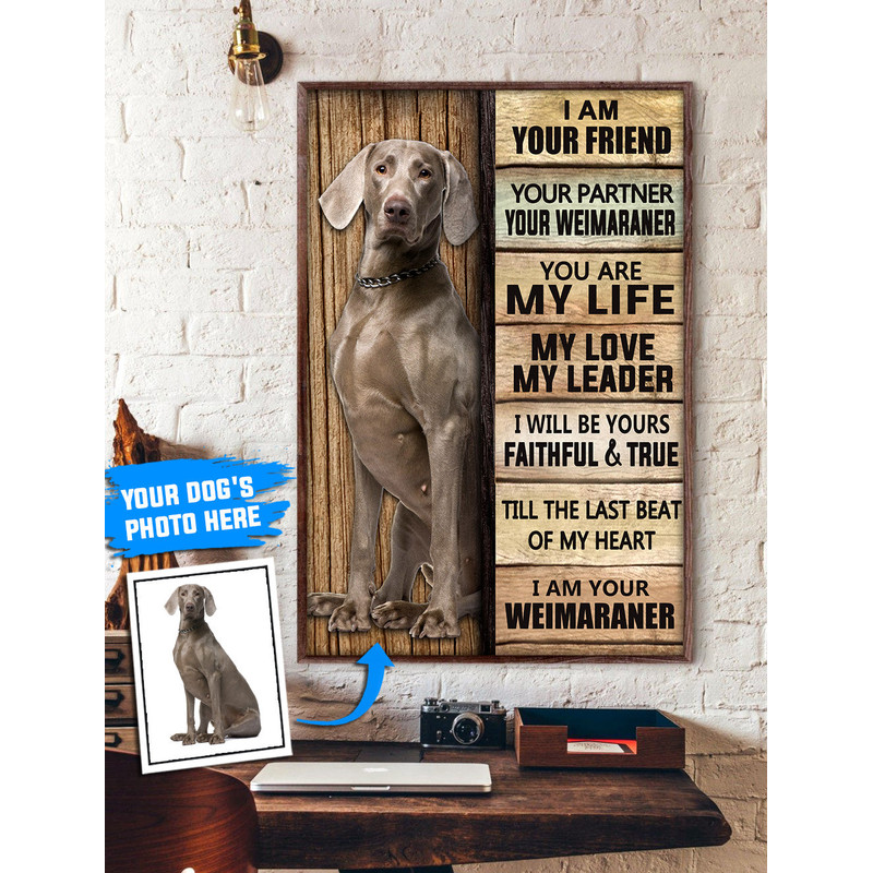 Weimaraner Personalized Poster & Canvas - Dog Canvas Wall Art - Dog Lovers Gifts For Him Or Her.jpg