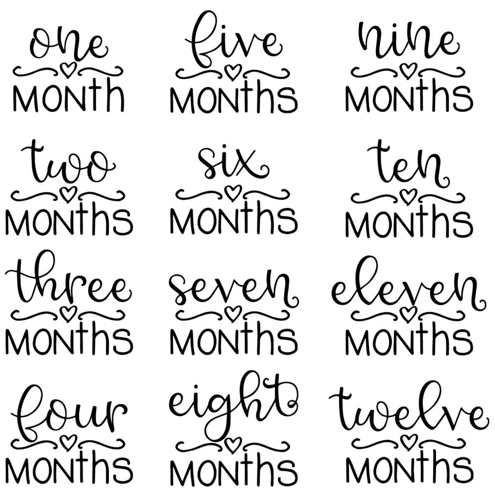 tb120422008-baby-month-bundle-svg-silhouette-birthday-svg-baby-milestone-svg-tb120422008jpg.jpg
