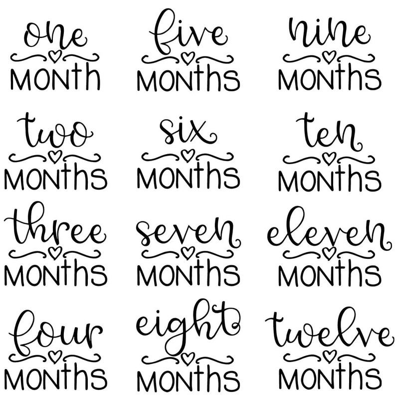 tb120422008-baby-month-bundle-svg-silhouette-birthday-svg-baby-milestone-svg-tb120422008jpg.jpg