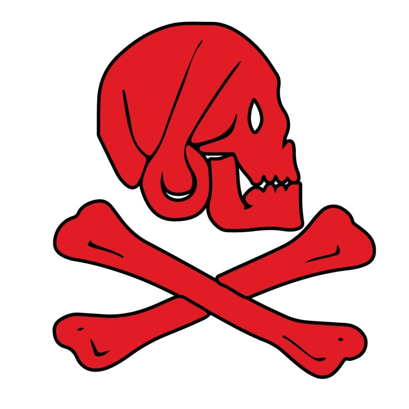 tb210122010-henry-every-pirate-flag-jolly-roger-skull-svg-henry-svg-tb210122010jpg.jpg