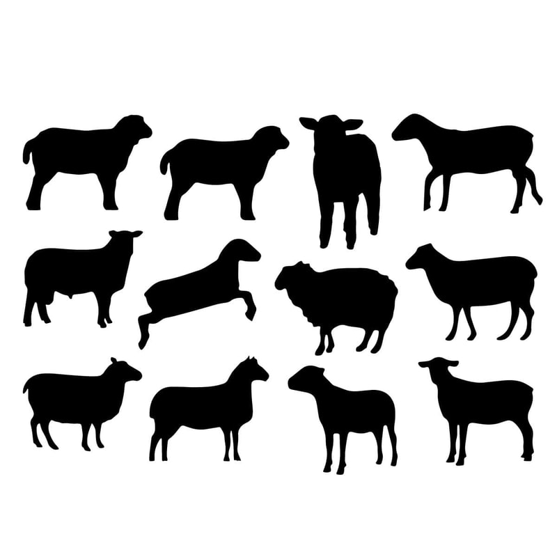 tb311221012-sheep-bundle-svg-animal-svg-sheep-svg-wild-svg-jumping-sheep-svg-cute-sheep-svg-tb311221012jpg.jpg