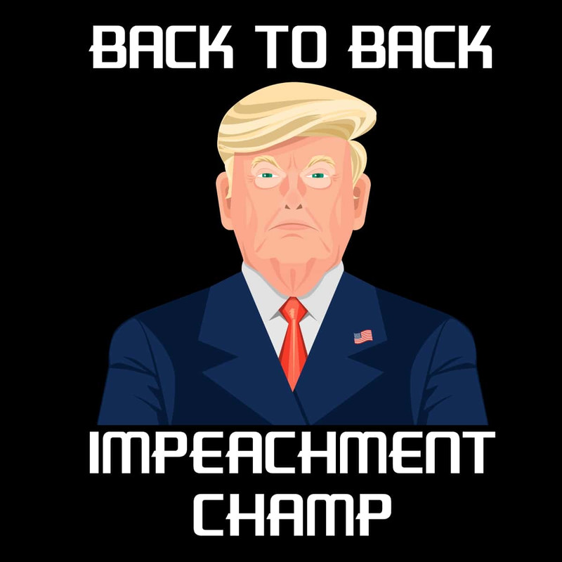 Back To Back Impeachment Champ SVG Donald Trump Quote SVG Trump Supporter American Flag.jpg