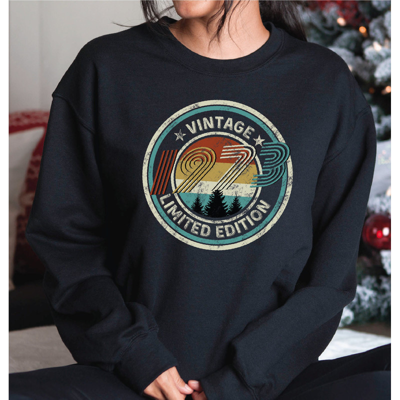 1973 Vintage Style Sweatshirt, 50th Birthday Gift, 1973 Retro Hoodie, A348.jpg