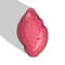 SEASHELL STL FILE 1.jpg