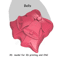 Bells Stl FILE For Vacuum Forming And 3D Print 1