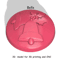 Bells Stl FILE For Vacuum Forming And 3D Printing3 1
