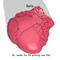 Bells Stl FILE For Vacuum Forming And 3D Printing 1