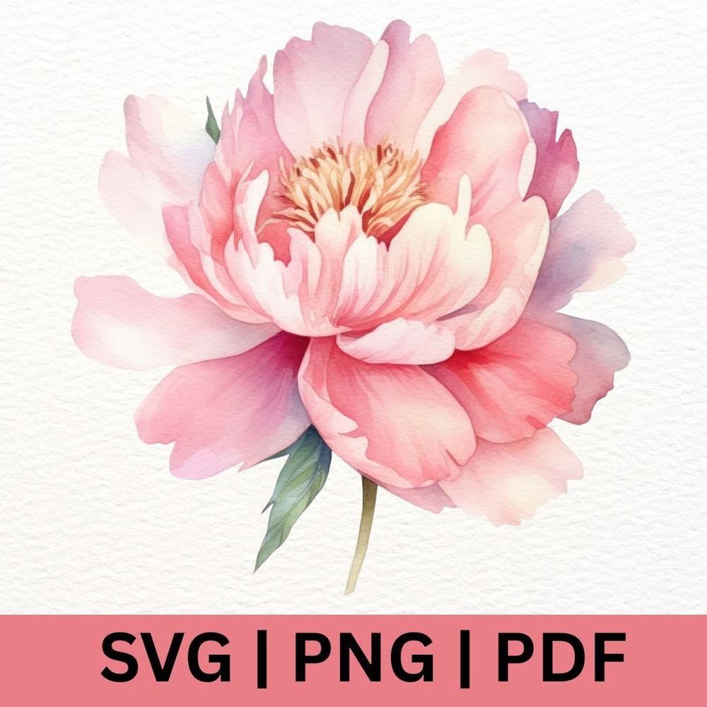Flower SVG Floral SVG Cut Files For Cricut Floral Clipart Digital Download T Shirt Sublimition 0
