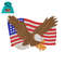 American Eagle Flag Embroidery logo for Hoodie..jpg