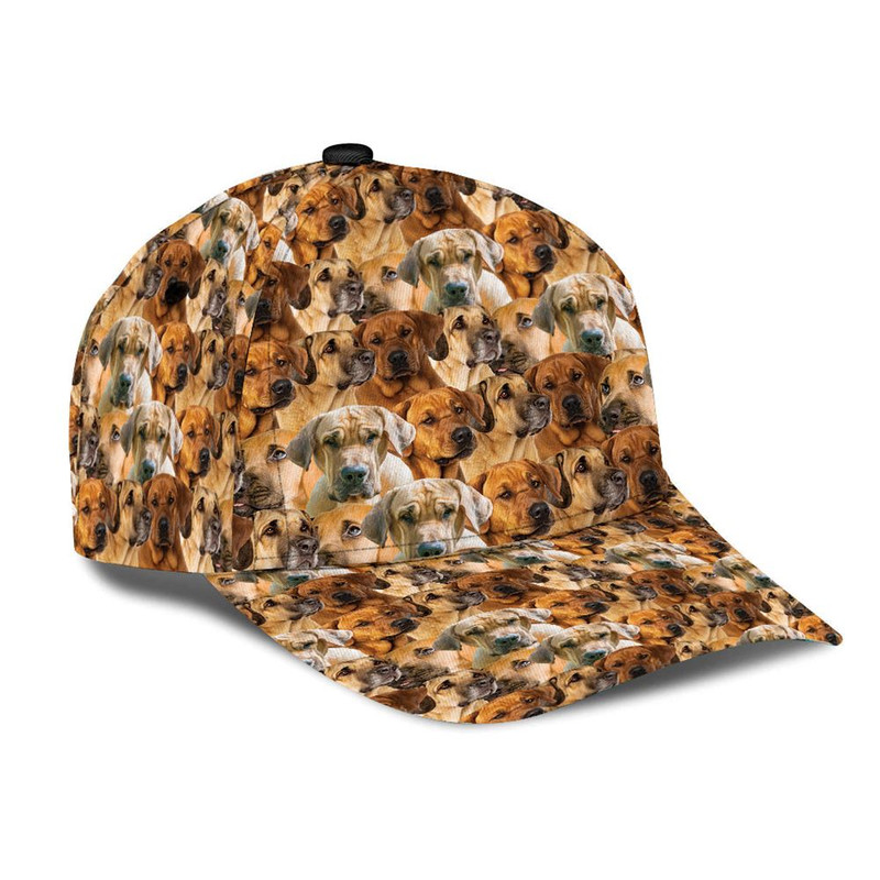Broholmer Cap - Hats For Walking With Pets - Dog Hats Gifts For Relatives 2.jpg