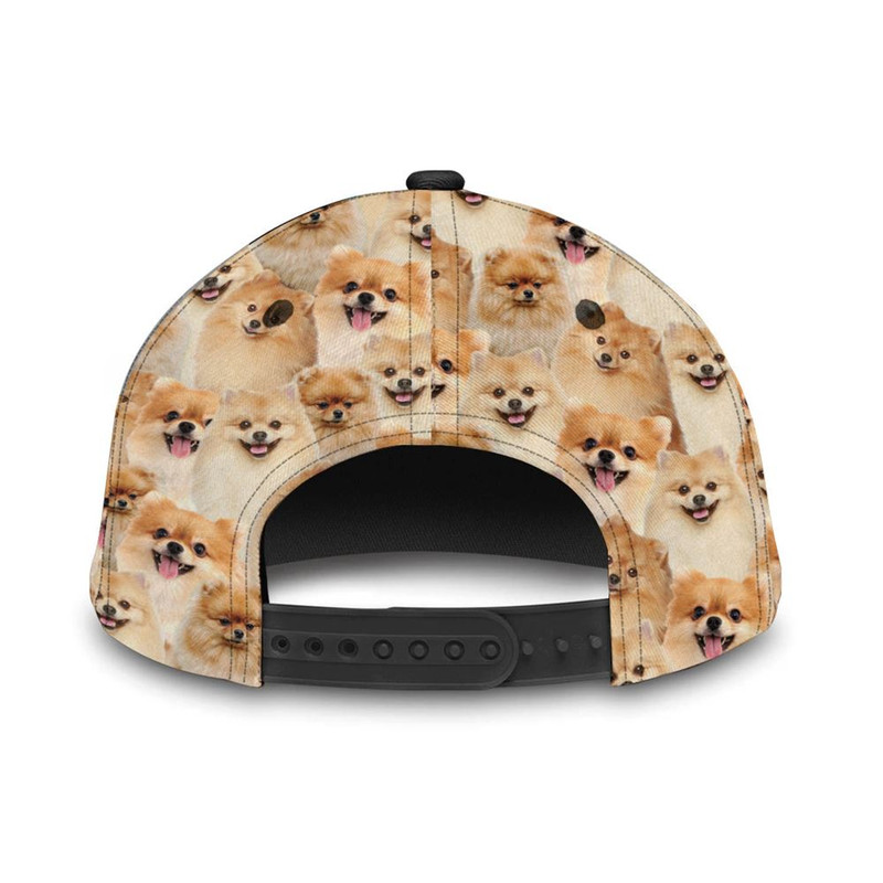 Pomeranian Cap - Hats For Walking With Pets - Dog Hats Gifts For Relatives 3.jpg