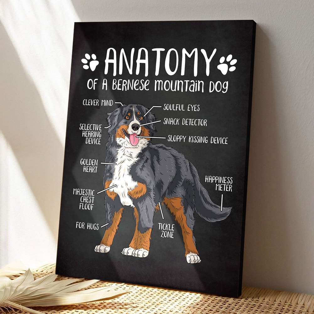 Bernese Mountain Dog - Anatomy Of A Bernese Mountain Dog - Dog Pictures - Dog Canvas Poster - Dog Wall Art - Gifts For Dog Lovers - Furlidays.jpg