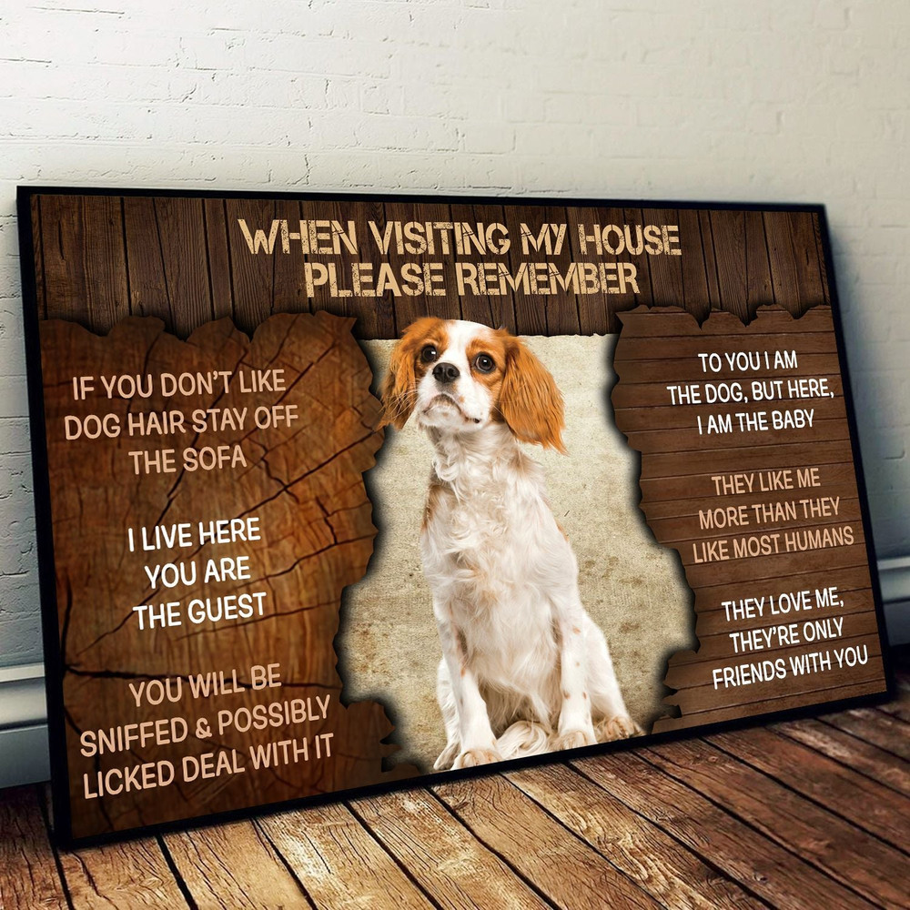 Cavalier King Charles Spaniel Please Remember When Visiting Our House Poster - Dog Wall Art - Poster To Print - Housewarming Gifts.jpg